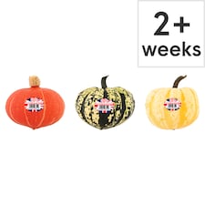 Tesco Autumnal Squash