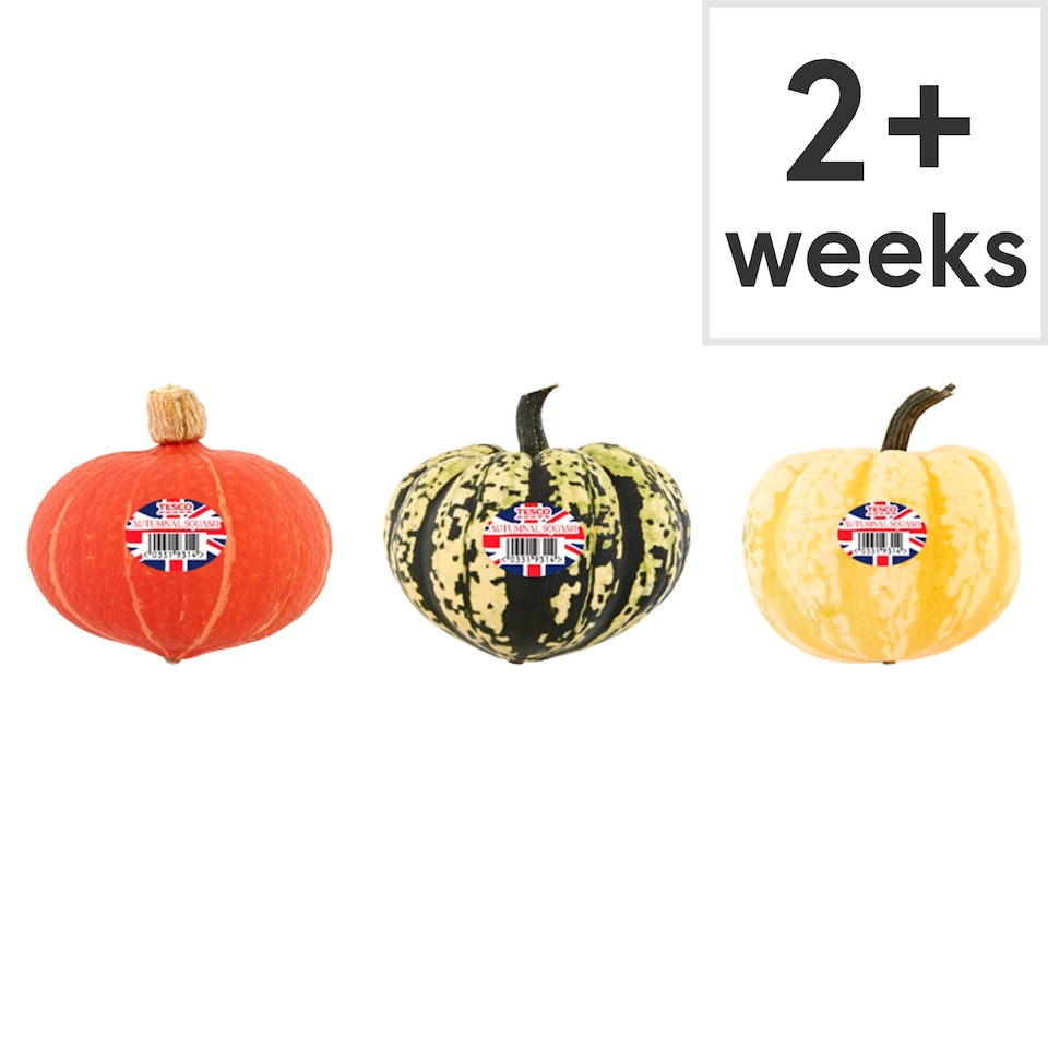 Tesco Autumnal Squash