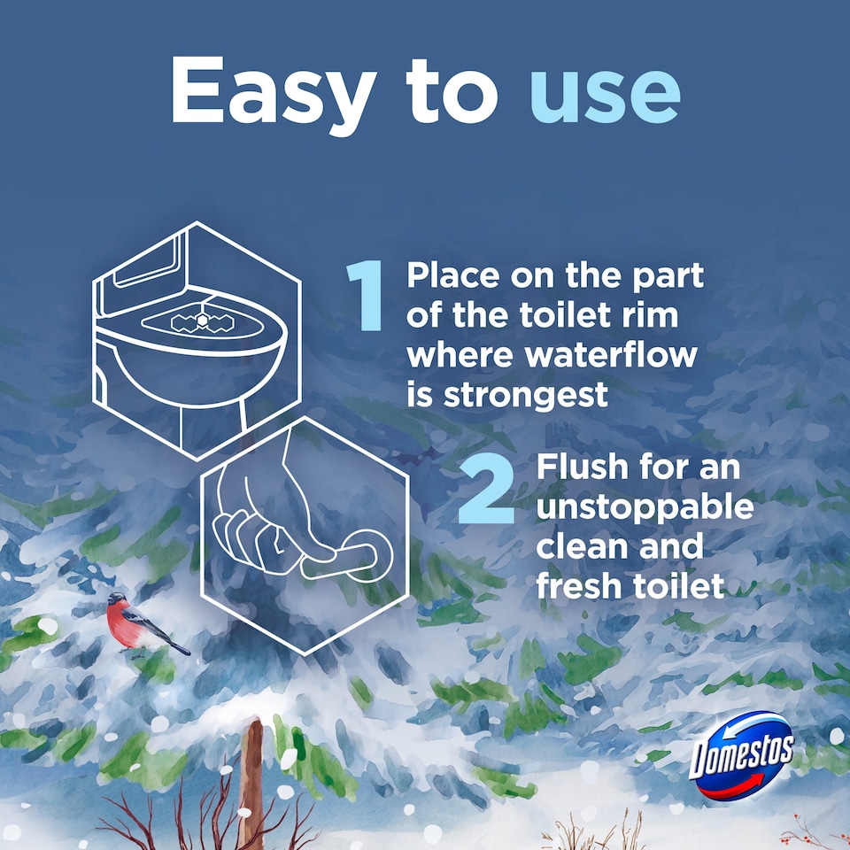 image 1 of Domestos Limited Edition Fresh Winter Breeze Toilet Block 50g