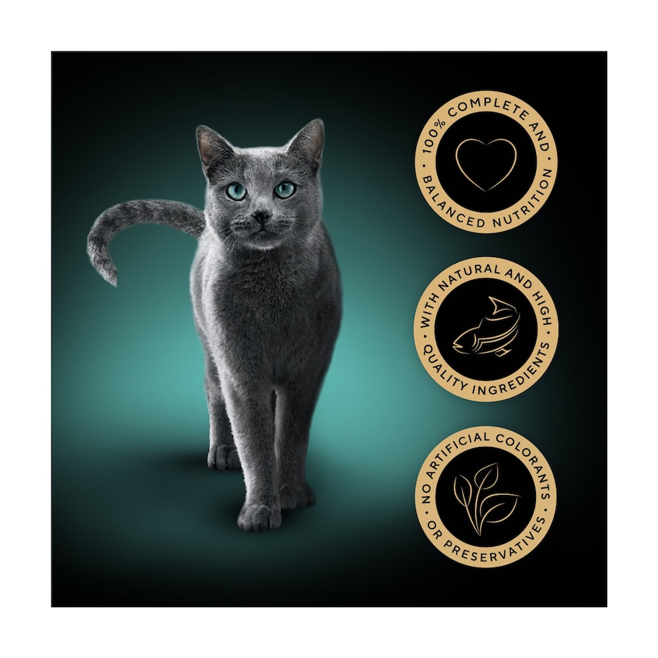 image 1 of Sheba Select Slices Wet Cat Food Pouches Fish in Gravy 12x85g