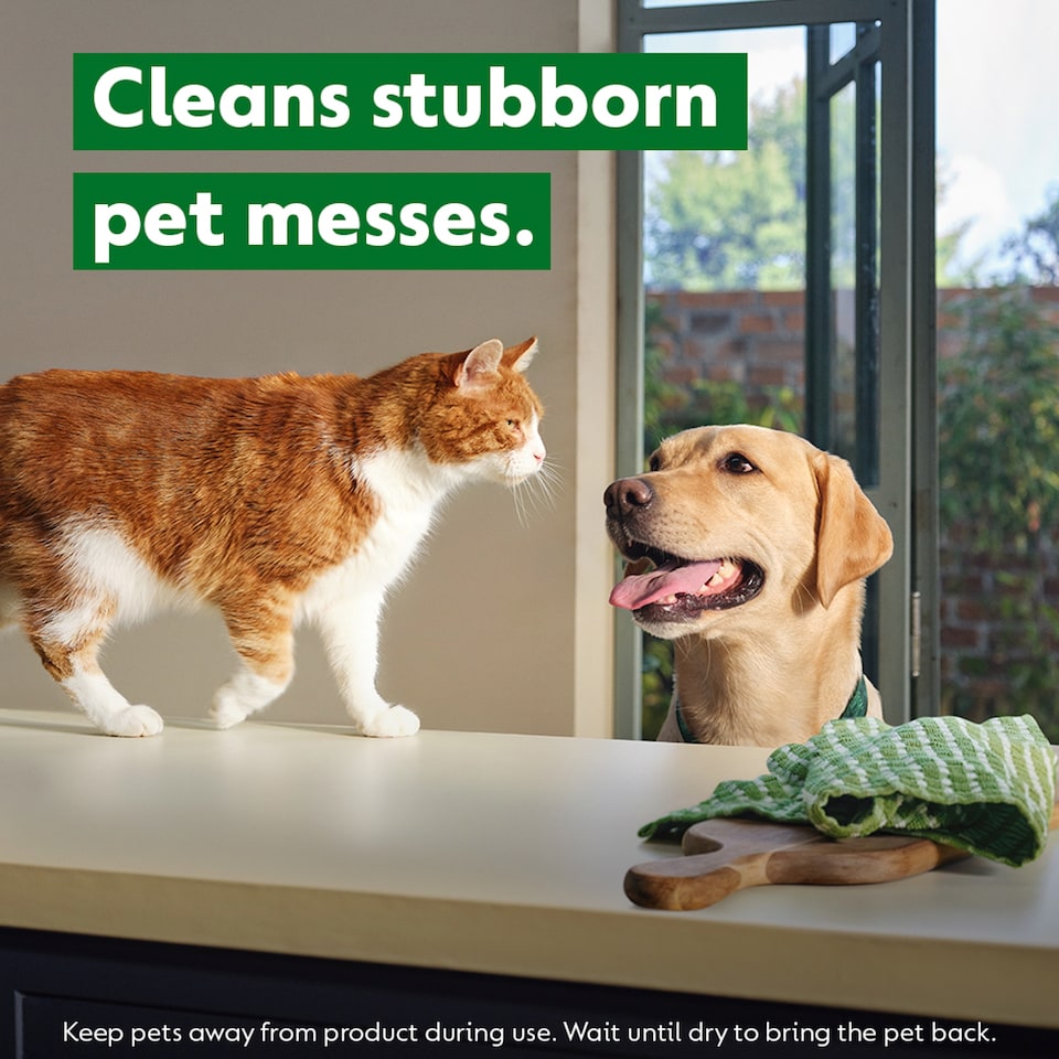 image 1 of Dettol Homes With Pets Multipurpose Cleaner Fresh Breeze 750ml