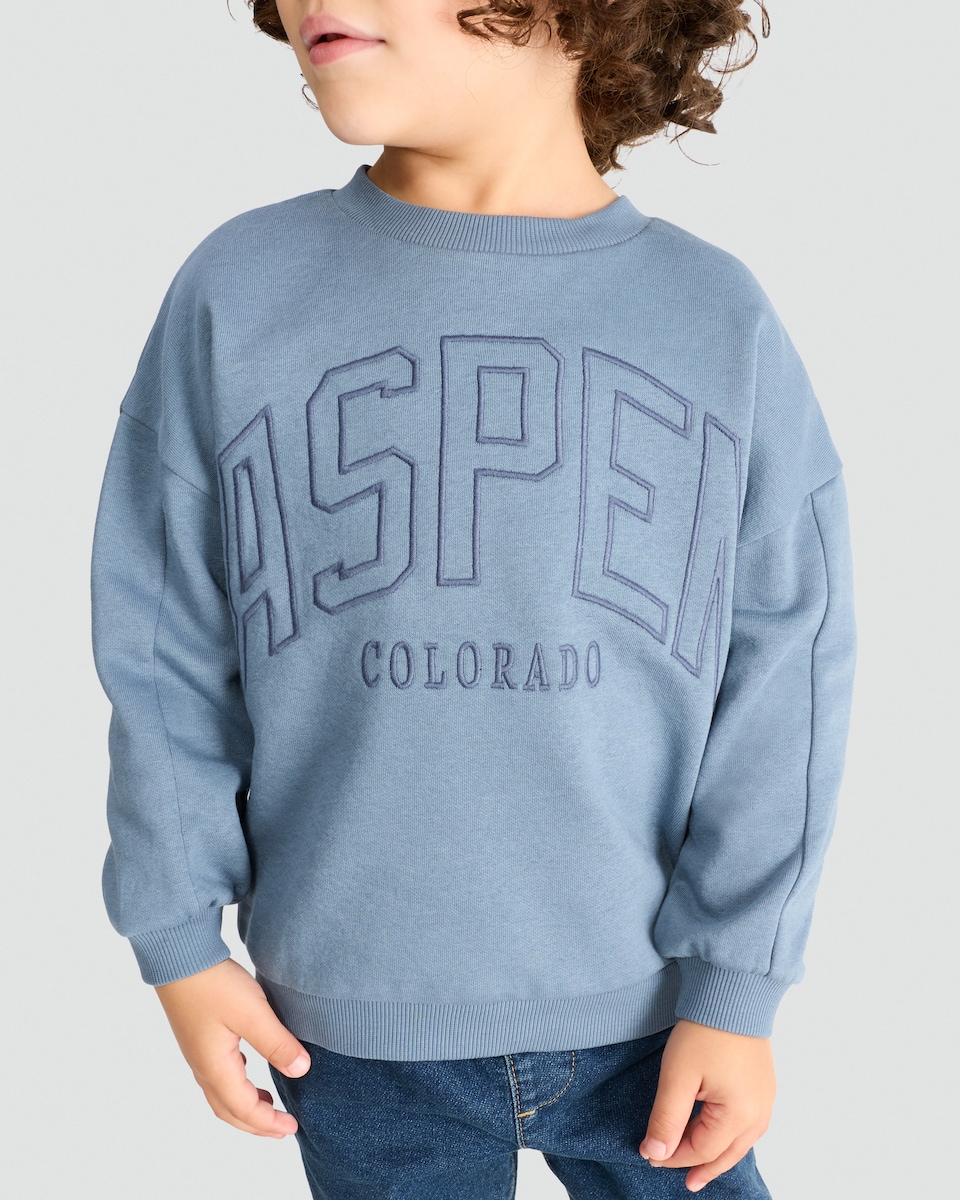 image 1 of F&F Boys Cotton Rich Aspen Colorado Slogan Sweatshirt in Blue