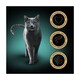 image 2 of Sheba Fine Flakes Wet Cat Food Tray Salmon in Jelly 85g