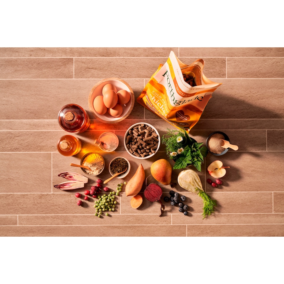 image 1 of Forthglade Cold Pressed Grain Free Chicken dog Food 2kg