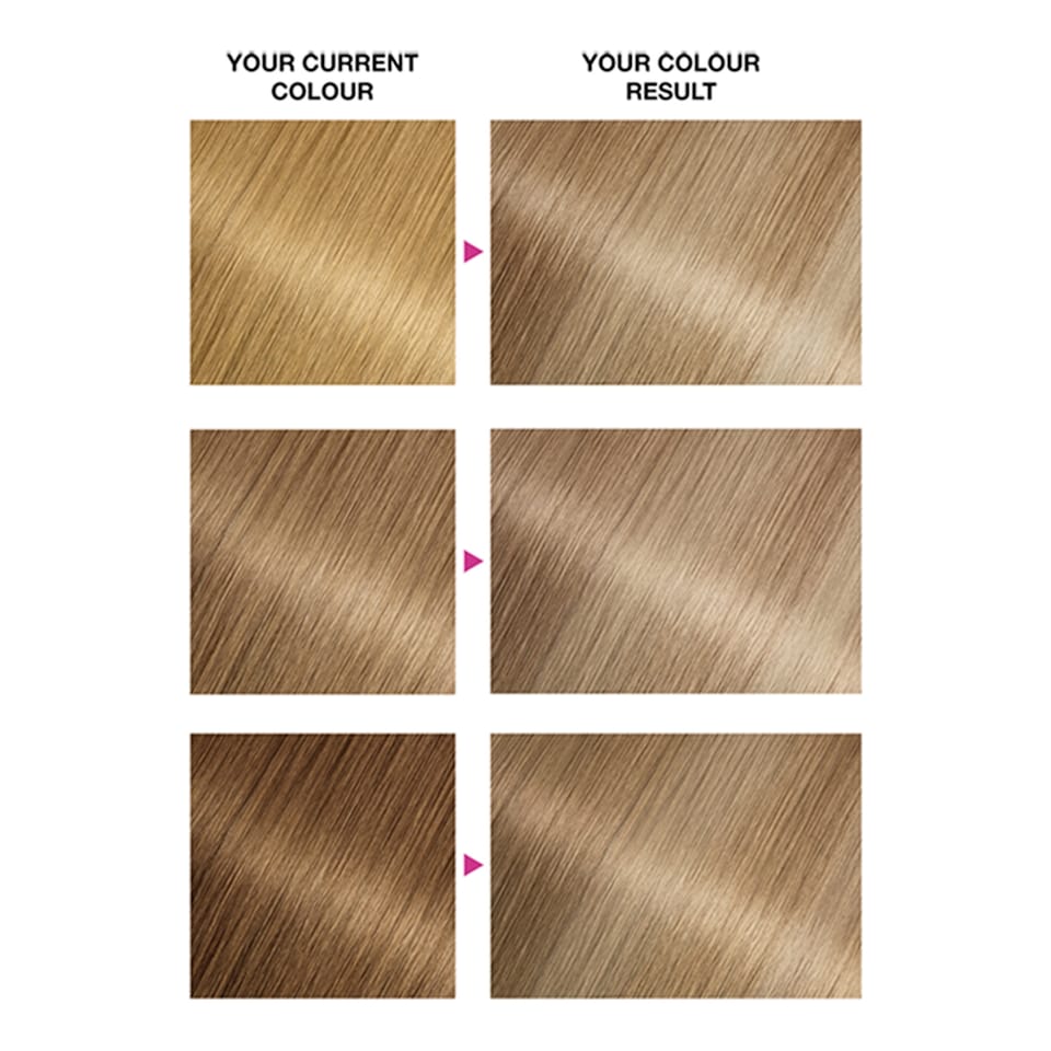 image 1 of Garnier Nutrisse 9.13 Natural Light Ash Blonde Permanent Hair Dye