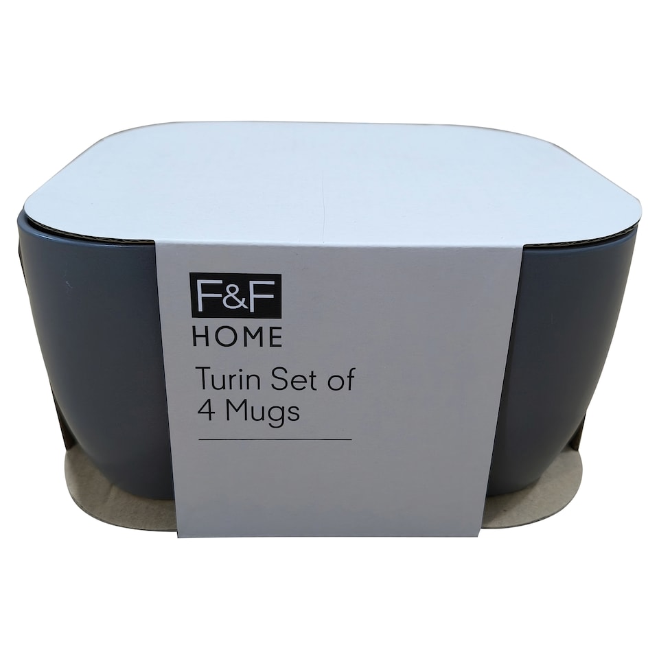 F&F Home Grey Turin Mug Set of 4