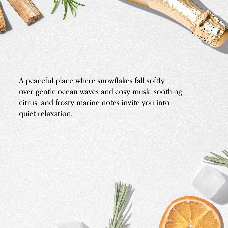 image 1 of Chesapeake Bay Winter Sea Reed Diffuser 150ml