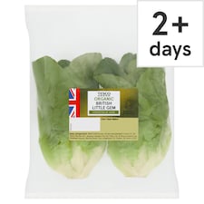 Tesco Organic Little Gem Twin Pack