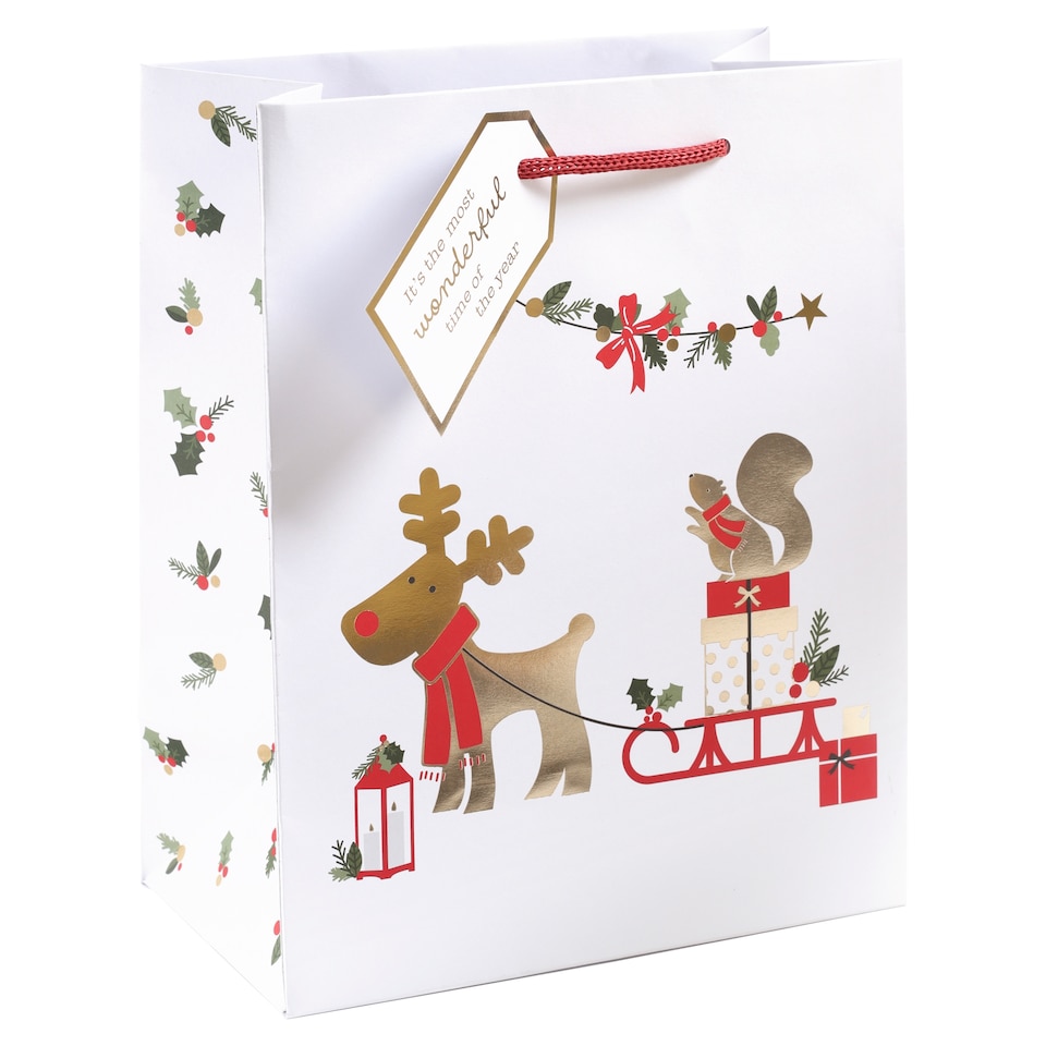Tesco Rudi Medium Christmas Gift Bag