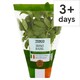 image 1 of Tesco Growing Herb Basil