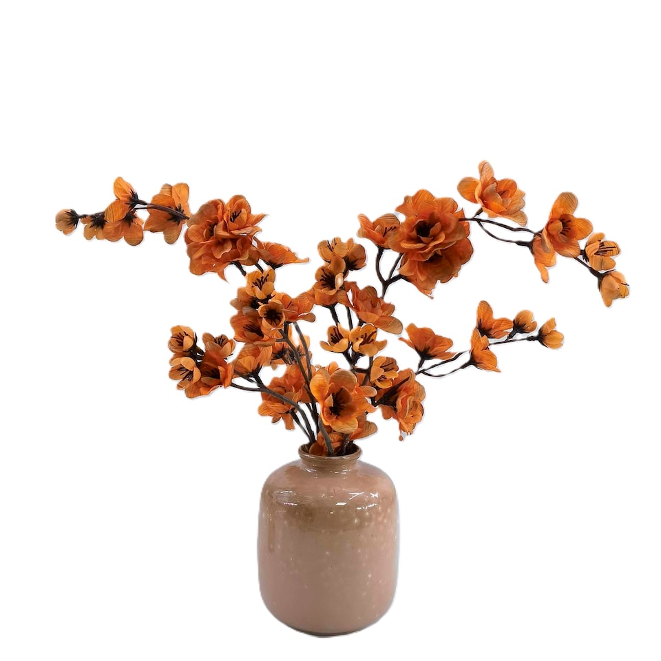 Bayswood Orange Blossom Arrangement