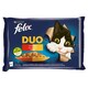 image 1 of Felix Fantastic DUO Chicken and Kidneys, Beef and Poultry, Turkey and Liver, Lamb and Veal 4 x 85g