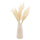 image 1 of Pampas In Cream Vase