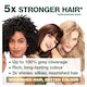image 3 of Garnier Nutrisse Creme Permanent Hair Colour - Dark Golden Brown 4.3