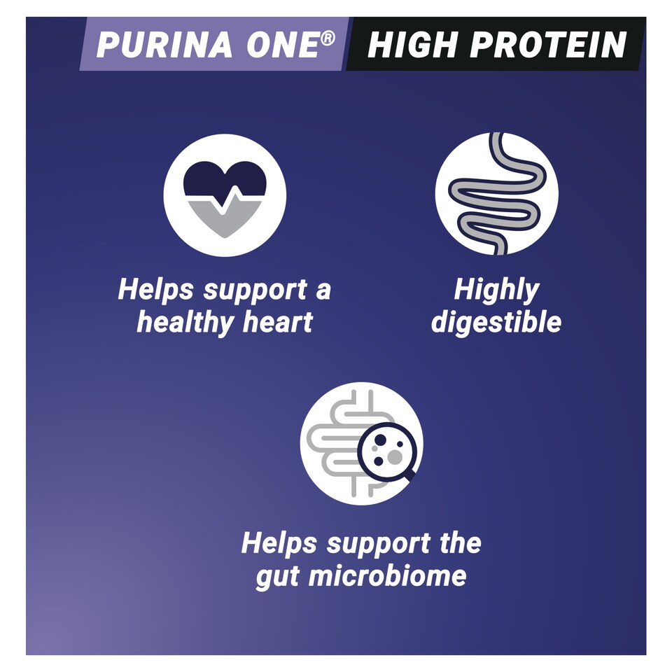 image 1 of PURINA ONE High Protein Salmon Adult Cat Food 650g