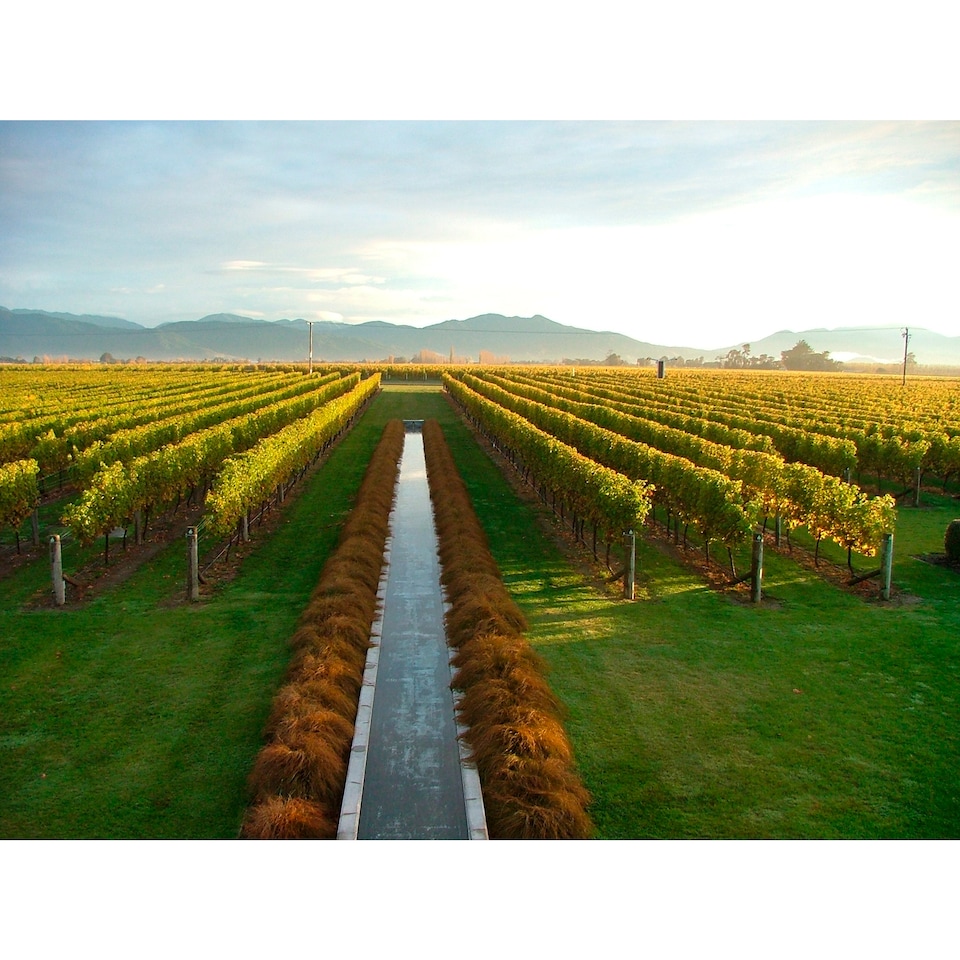 image 1 of Villa Maria Private Bin Sauvignon Blanc 75Cl