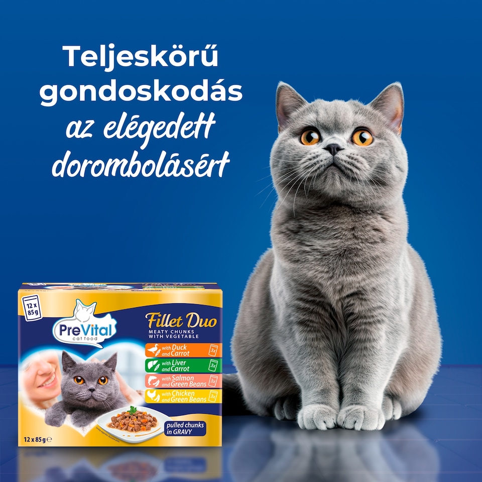 PreVital Fillet Duo nedves macskaeledel, macskatáp felnőtt macskáknak alutasakos 12 x 85 g  1. kép