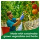 image 5 of Knorr Herb Infusion Stock Pot 4 x 28g