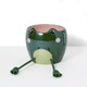 image 2 of Paperchase Magic Forest Frog Plant Pot