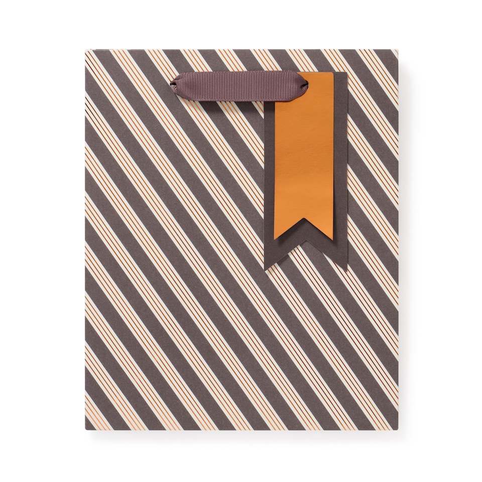 image 1 of Paperchase Brown Foiled Striped Medium Gift Bag