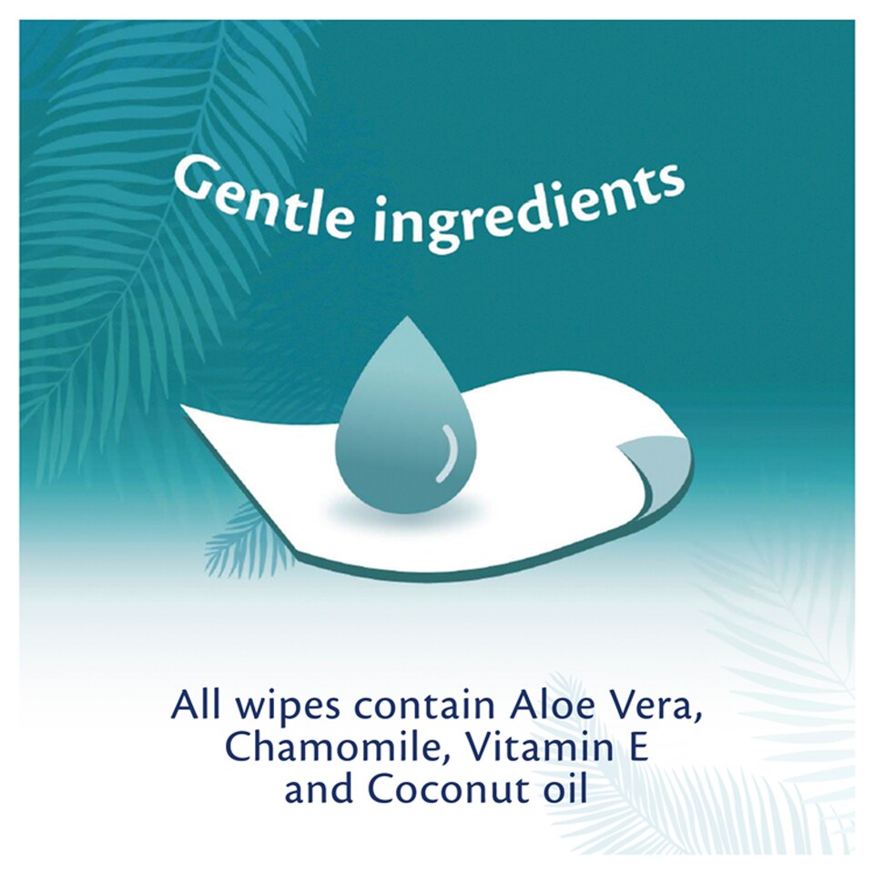 image 1 of Tesco Luxury Soft Coconut Oil 40 Flushable Wipes