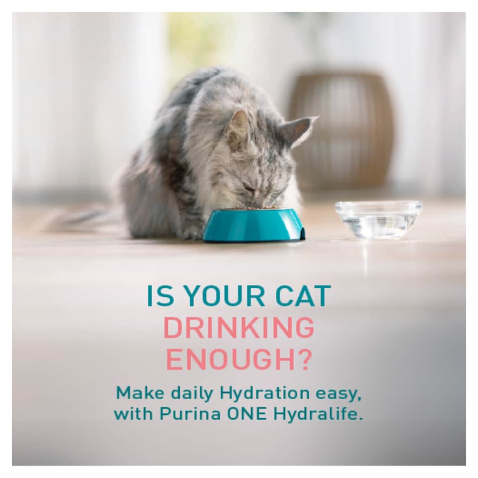 image 1 of Purina ONE HYDRALIFE with Salmon Cat Compliment 6x50g