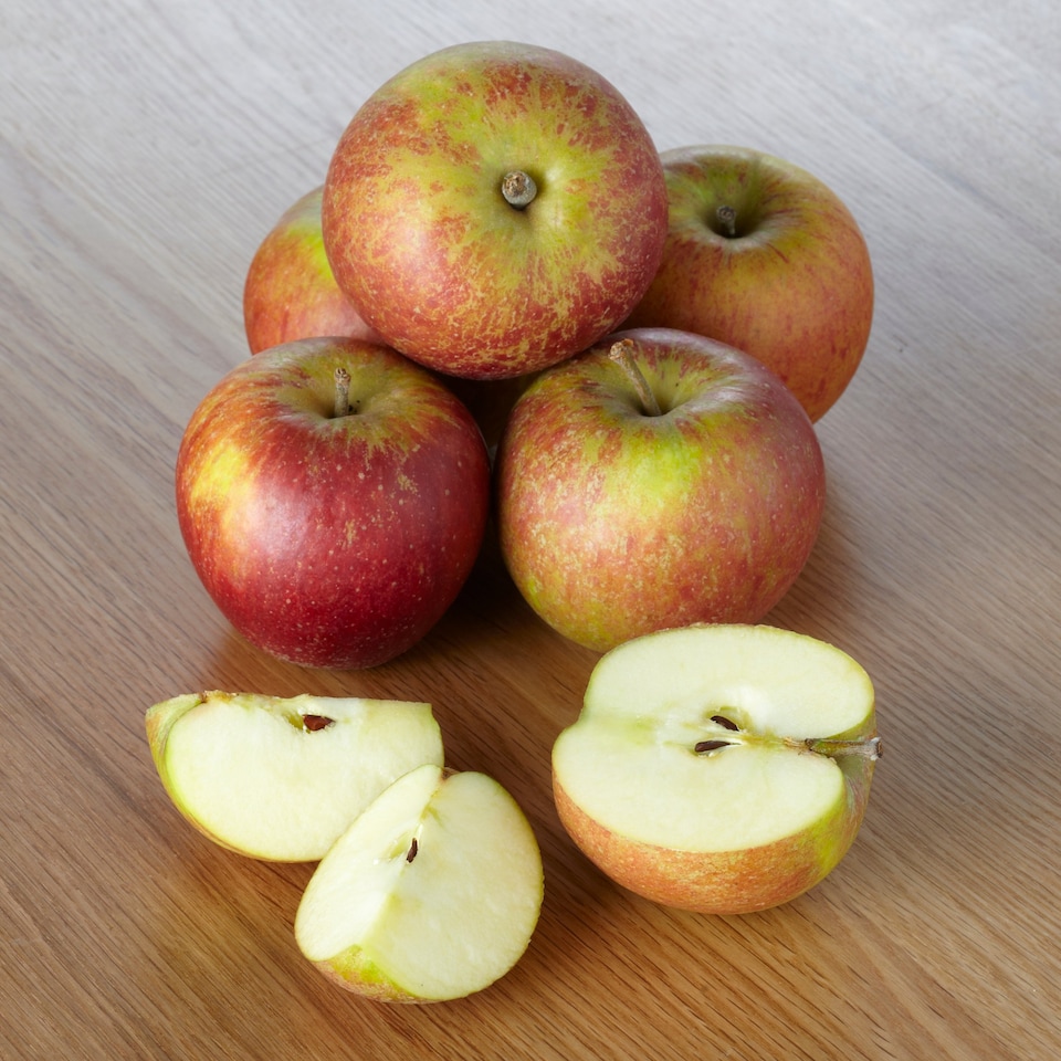 image 1 of T. Cox Apple 6 Pack
