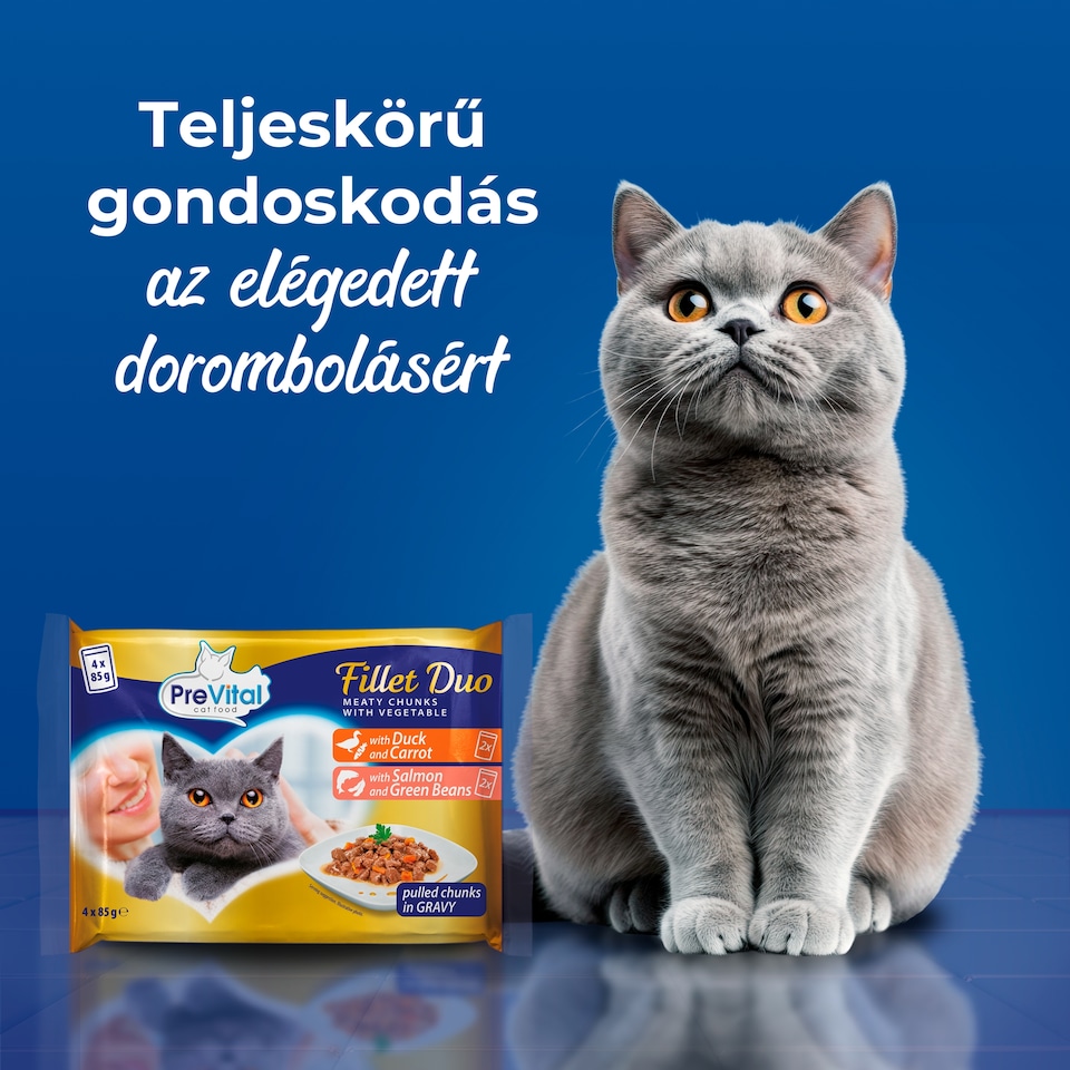 PreVital Fillet Duo nedves macskaeledel, macskatáp felnőtt macskáknak alutasakos 4 x 85 g  1. kép