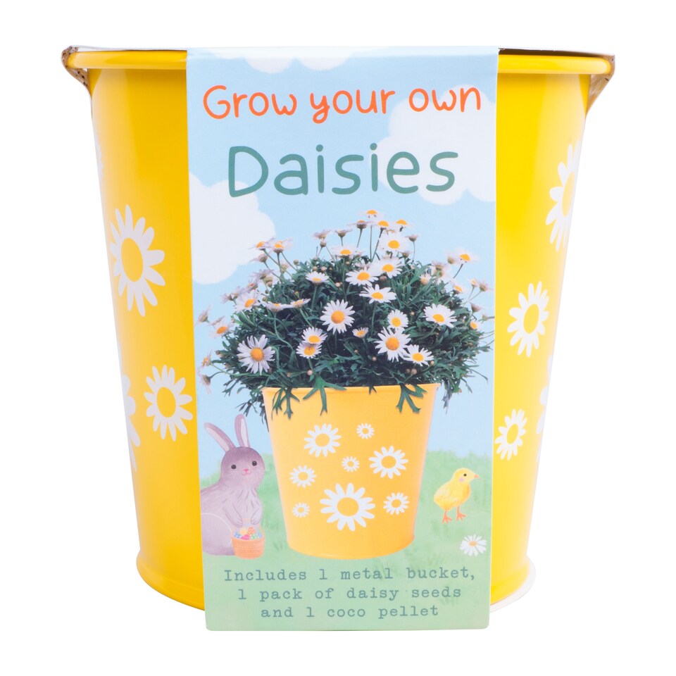 image 1 of GROW YOUR OWN FLOWERS KIT ASSORTMENT