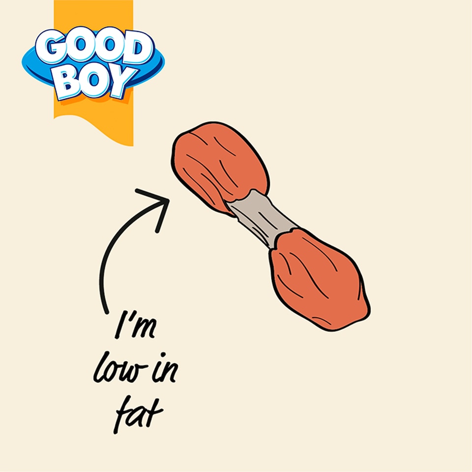 image 1 of Good Boy Chewy Chicken Dumbbells Dog Treats 90G