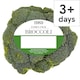 image 1 of Tesco Family Pack Broccoli