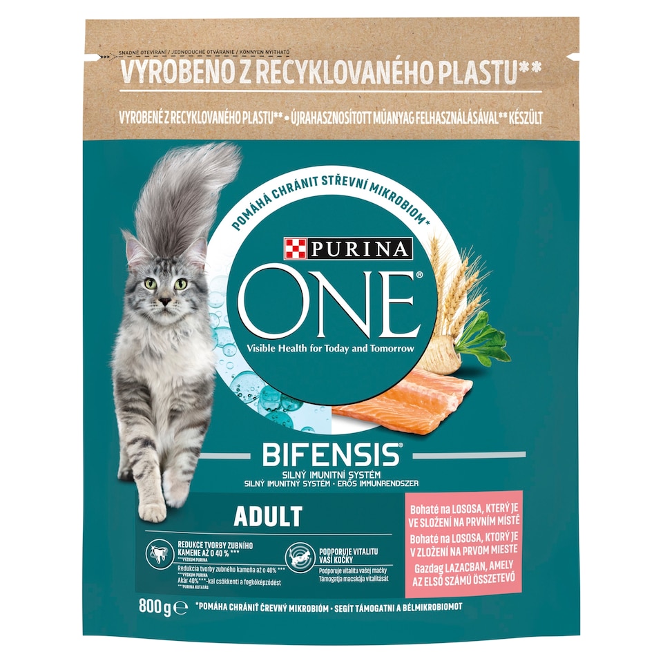 Purina ONE Adult bohaté na lososa 800g