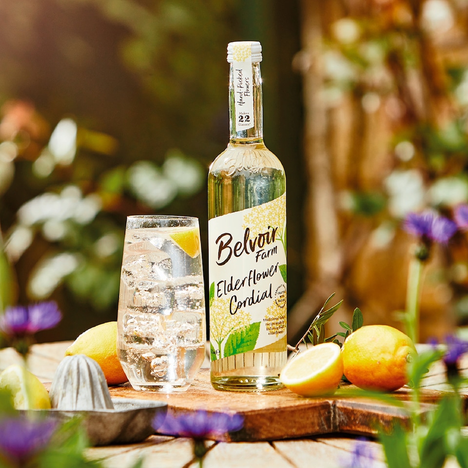 image 1 of Belvoir Elderflower Cordial 500Ml