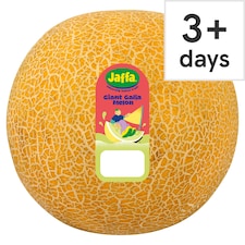 Jaffa Giant Galia Melon Each