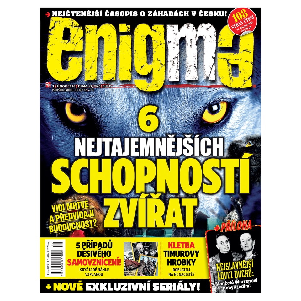 Enigma 