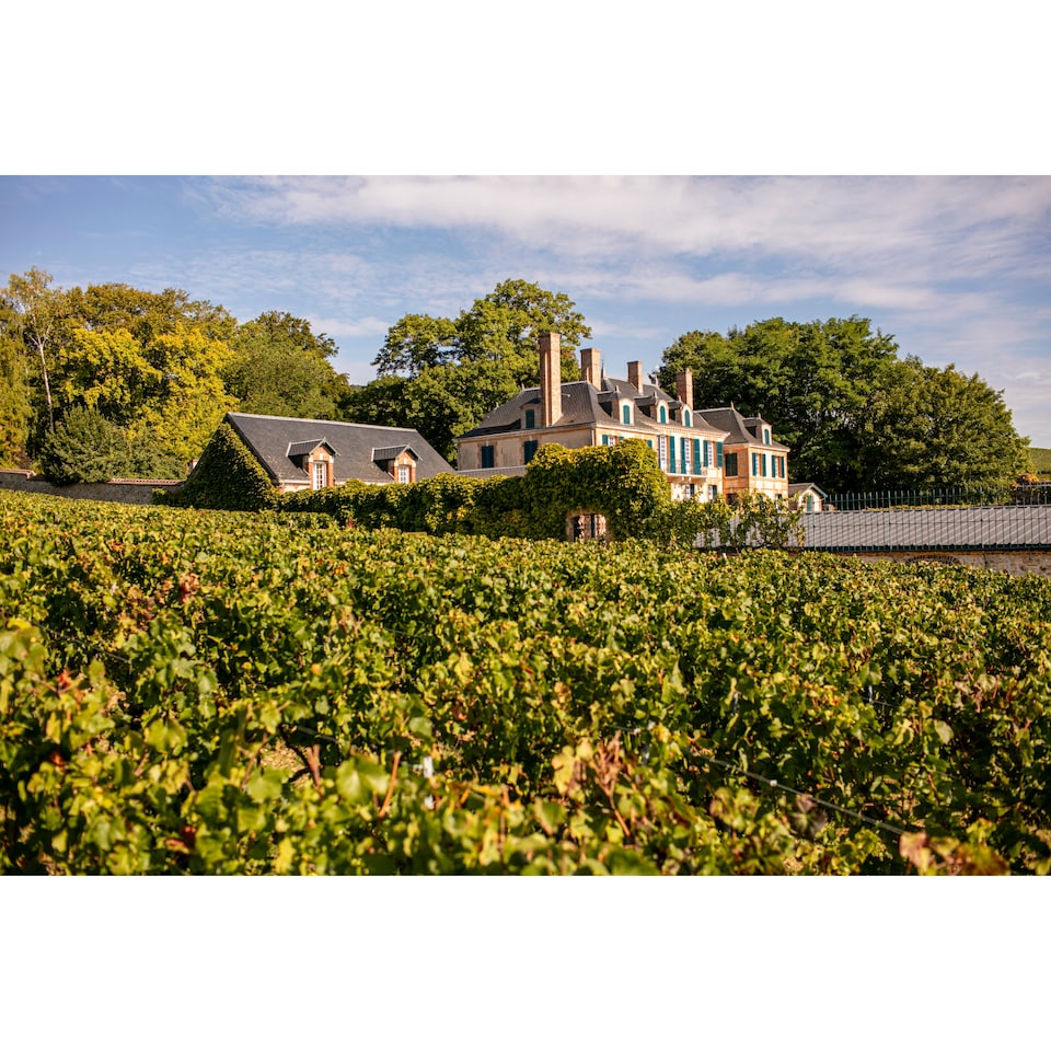 image 1 of Taittinger Brut Reserve Non Vintage Champagne 75Cl