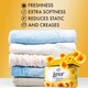 image 4 of Lenor Tumble Dryer Sheets Summer 34Pk