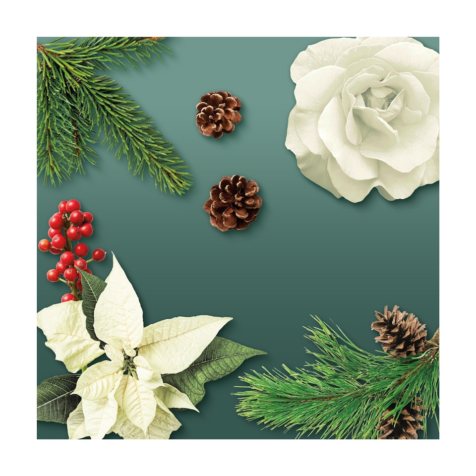 image 1 of Yankee Candle HI Winter Fir Wax Melts 75g