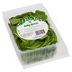 image 2 of Baby Spinach Washed 125g