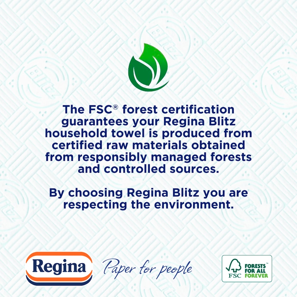 image 1 of Regina Blitz Kitchen Roll 210 Supersized Sheets 3 Roll