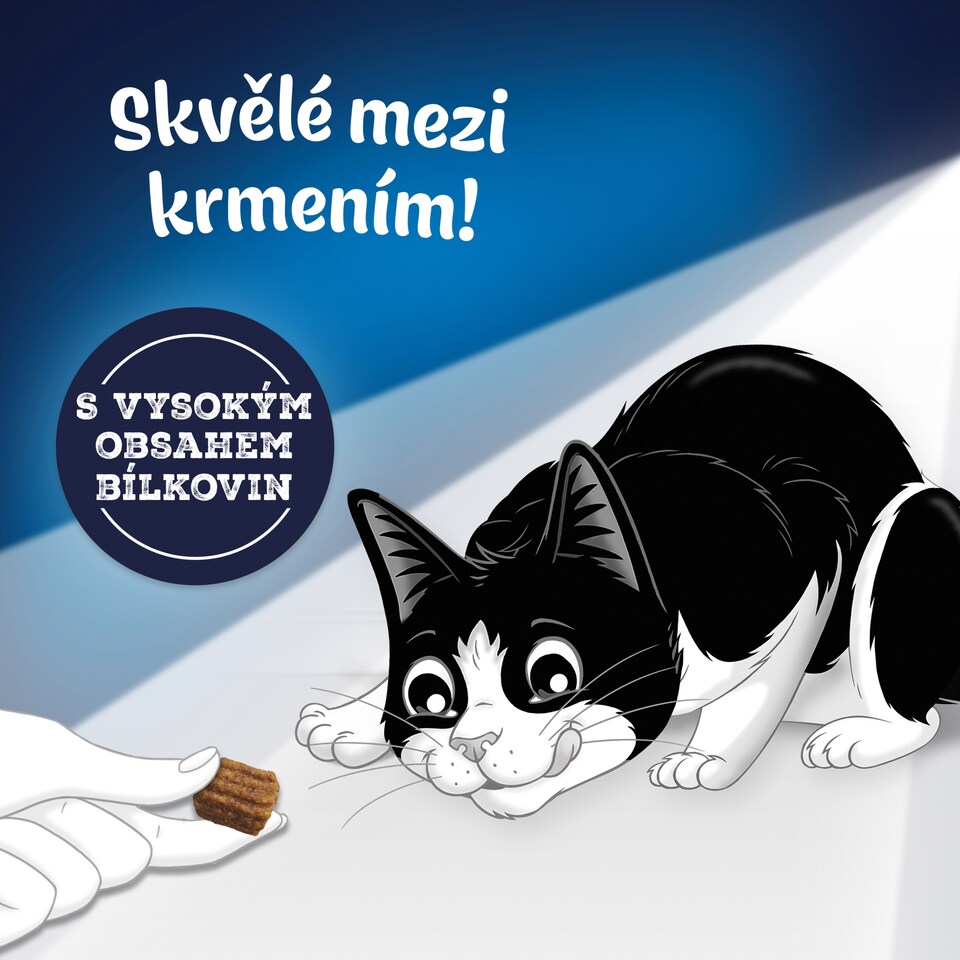 Obrázek 1 pro produkt Felix Tasty Nuggets pamlsky pro kočky losos, pstruh 50g