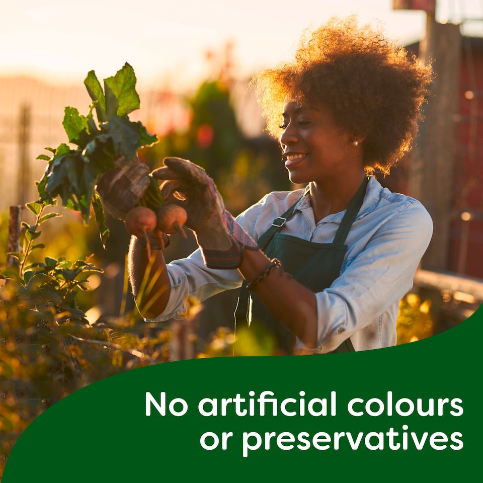 image 1 of Knorr Beef Gravy Pot 4 x 28g