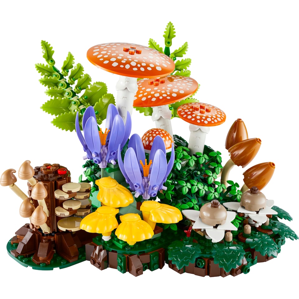 LEGO Botanicals 11505 Lesní houby - Tesco Groceries