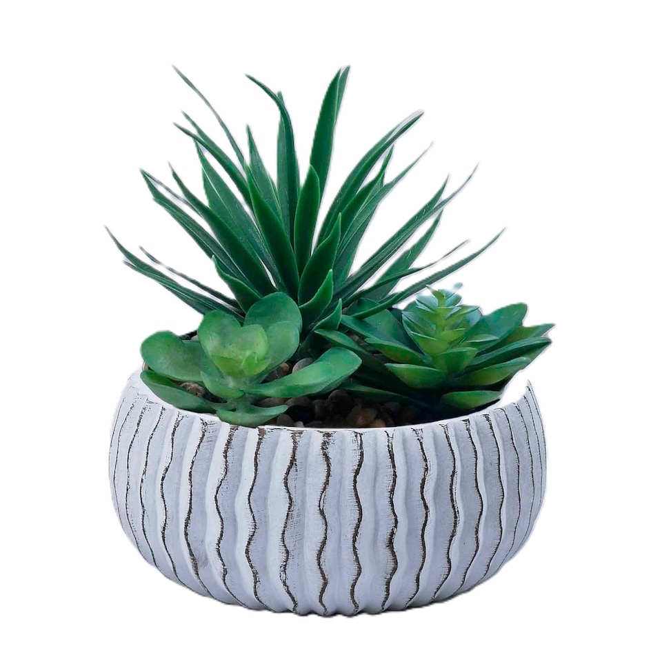 Bayswood Succulent Garden In Ceramic Pot
