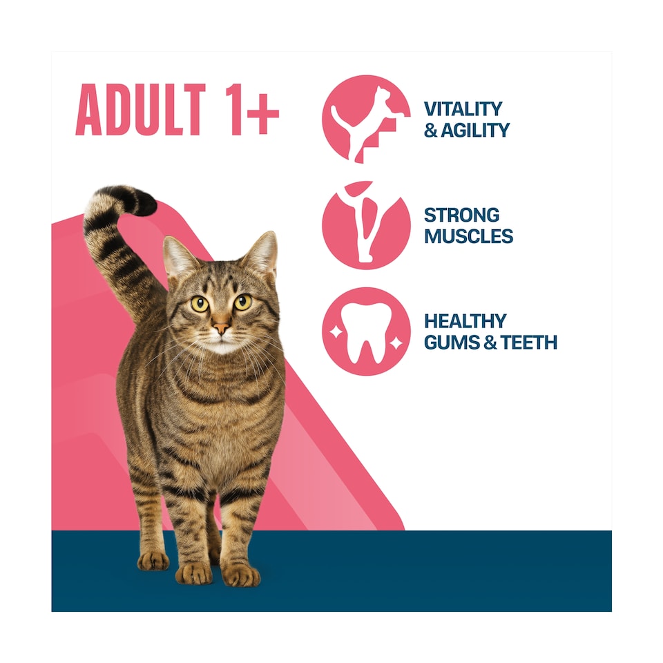 image 1 of PERFECT FIT Cat Complete Dry Food Adult 1+ Chicken 2.8kg