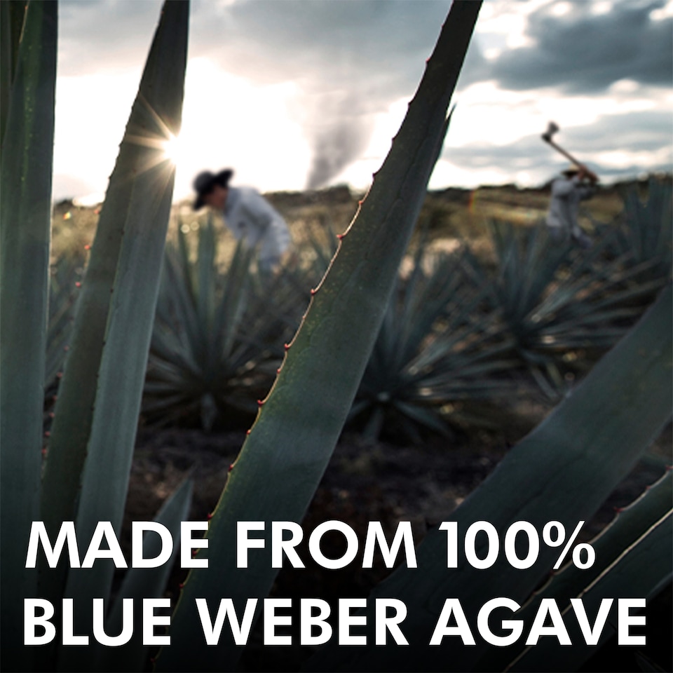 image 1 of Casamigos Blanco Tequila 70cl