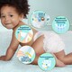 Pampers Premium Care, Méret: 1, 72 Pelenka, 2kg-5kg  3. kép