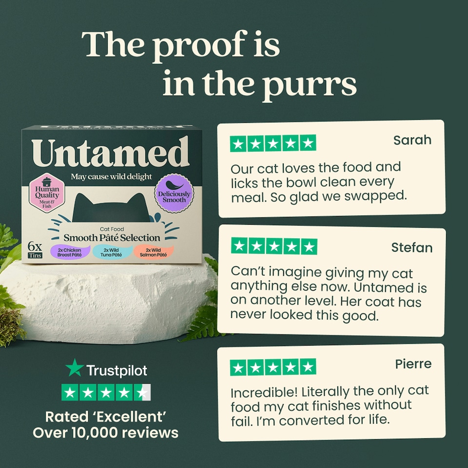 image 1 of Untamed Smooth Pate Selection Box Cat Food 6 x 75G