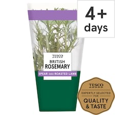 Tesco British Rosemary Medium Pot Each