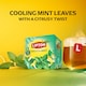 image 3 of Lipton Smooth Mint  20 Tea Bags 34g